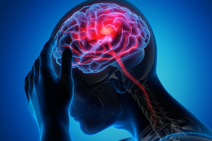 Mind body dualism worldview
